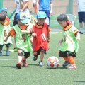 松戸中央サッカーチーム【松戸市松戸中央】 松戸中央サッカーチーム【松戸市松戸中央】